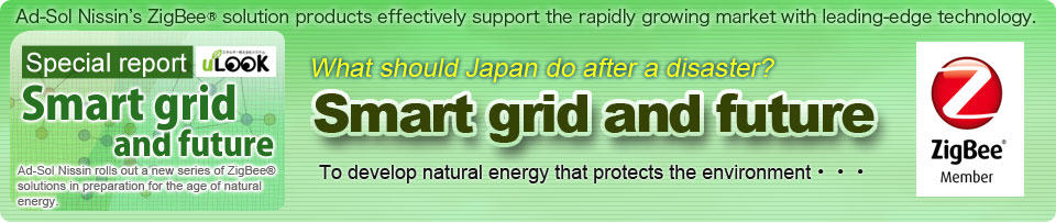 Special report: Smart grid and future 